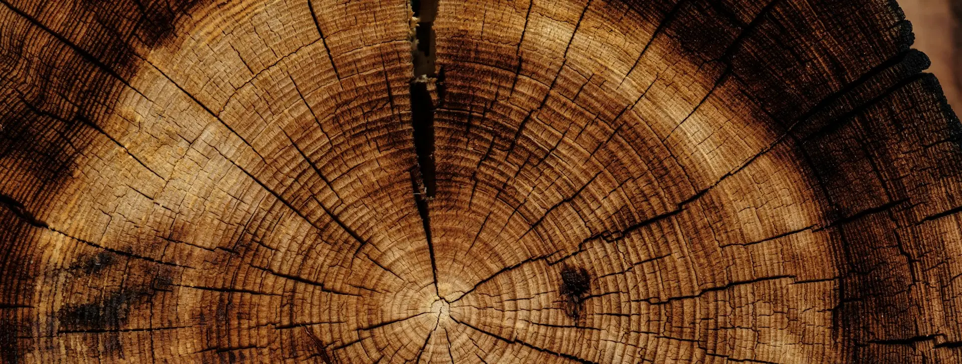 photo of brown wood slab