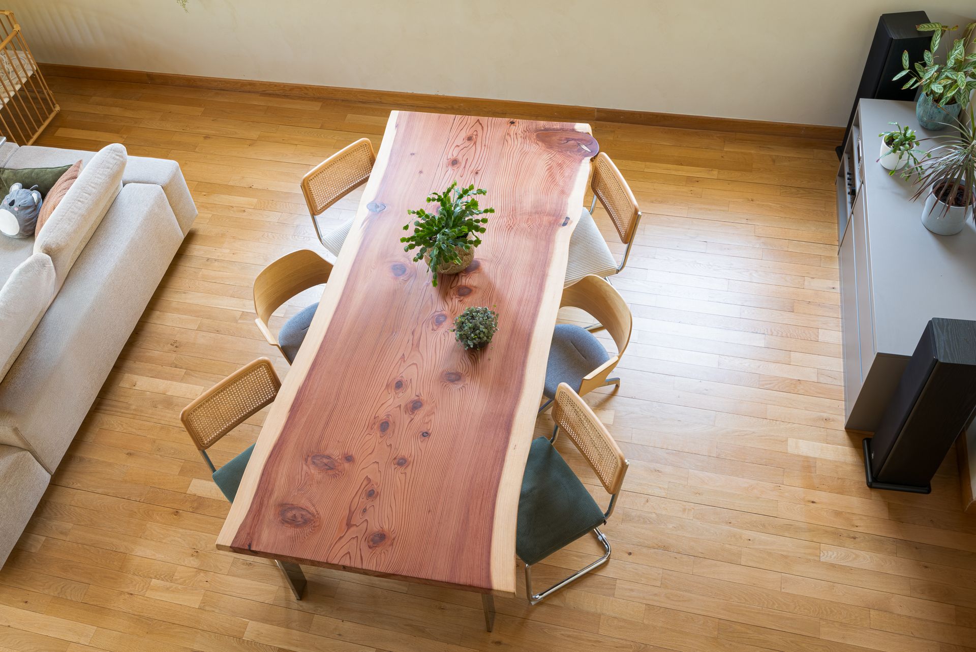 Plateau sequoia arbre remarquable